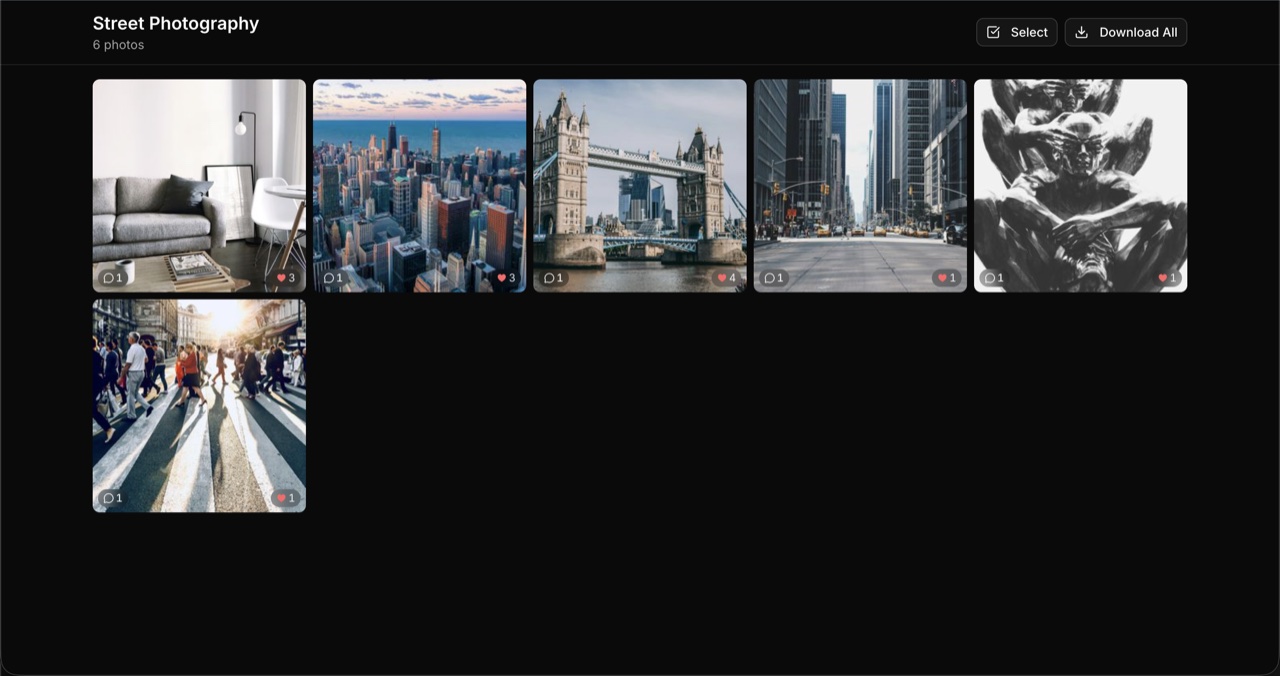 Shared gallery with photo grid and like counts